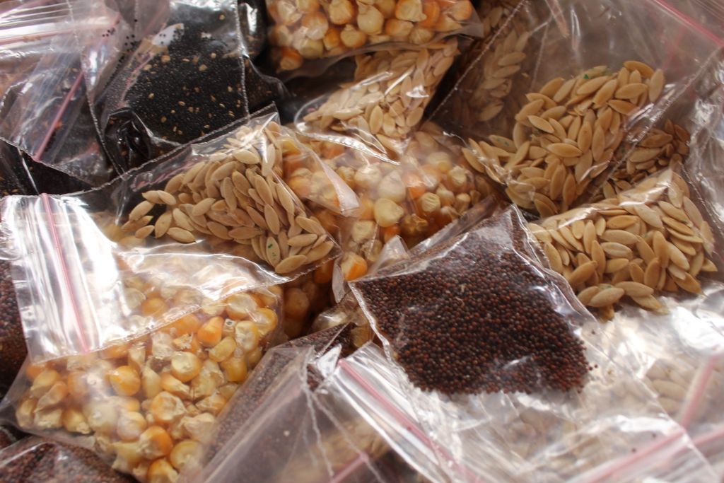 Benih pangan lokal, mulai dari padi, jagung, sorgum, hingga kacang-kacangan, ditunjukkan dalam pesta benih peringatan Hari Tani Nasional di Gunung Mas, Kalimantan Tengah, Sabtu (24/9/2022).