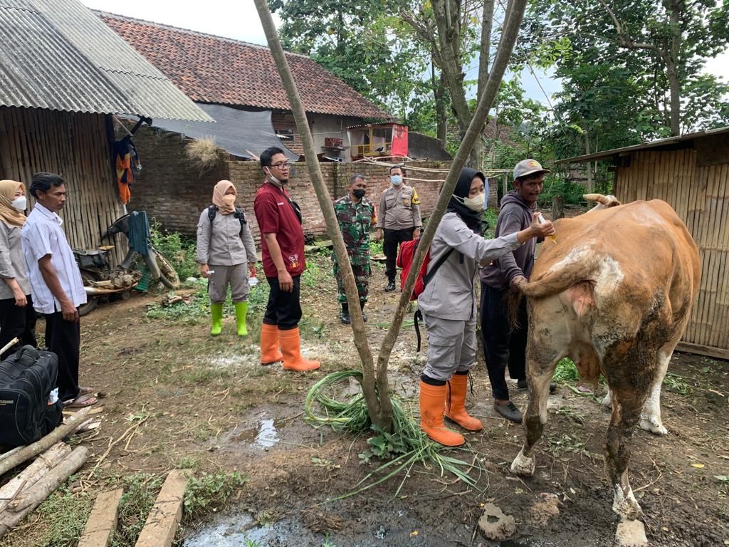 Petugas dari tim kesehatan hewan ternak Kota Malang memeriksa kondisi ternak di Kelurahan Lesanpuro, Kecamatan Kedungkandang, Kota Malang, Jawa Timur. 