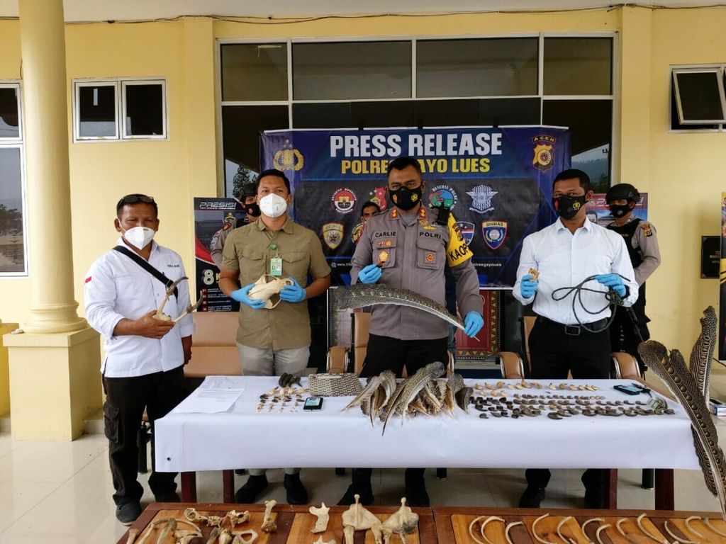 Barangbukti bagian tubuh satwa lindung disita oleh Polisi Resor Gayo Lues, Aceh, Rabu (3/3/2021) dari dua tersangka penjualan satwa lindung