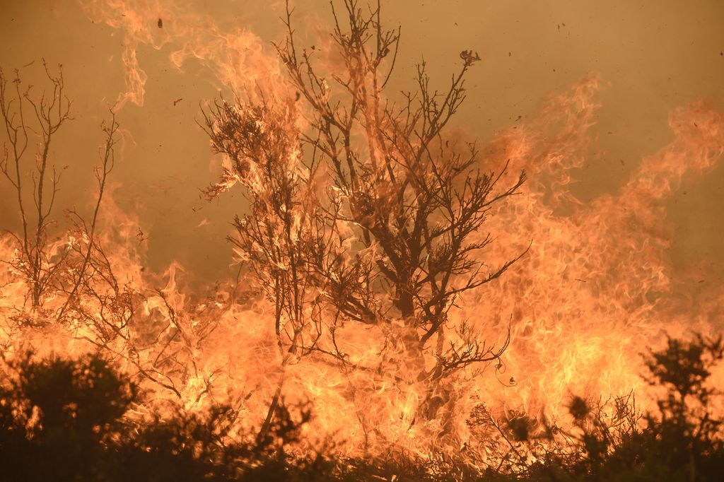 Api membakar hutan di Pumarejo, dekat Zamora, barat laut Spanyol, Senin (18/7/2022). Layanan darurat berupaya memadamkan beberapa titik kebakaran hutan karena Spanyol tengah dilanda gelombang panas luar biasa dengan suhu mencapai 43 derajat celsius.