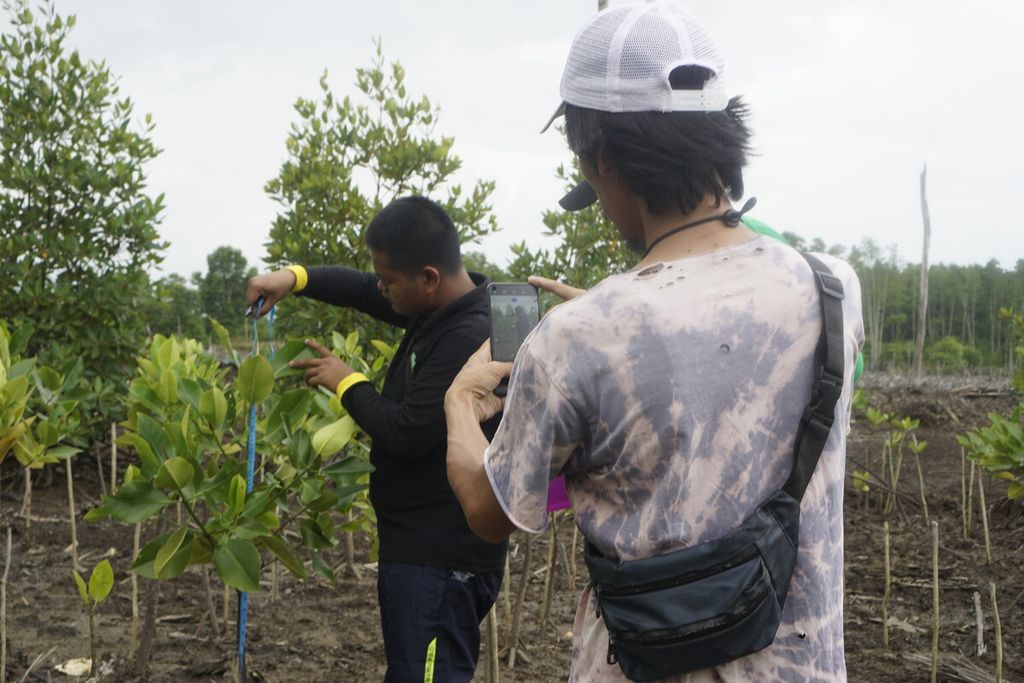 Kelompok Tani Hutan Muara Adang Indah memantau perkembangan mangrove yang mereka tanam di sekitar Teluk Adang, Desa Muara Adang, Kecamatan Long Ikis, Kabupaten Paser, Kalimantan Timur, Rabu (15/2/2023).