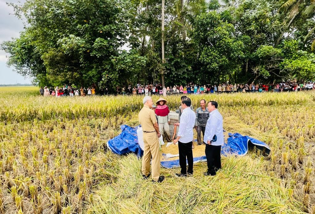 Presiden Joko Widodo meninjau panen raya padi dan berdialog dengan petani di Desa Lajer, Kecamatan Ambal, Kabupaten Kebumen, Jawa Tengah, Kamis (9/3/2023).
