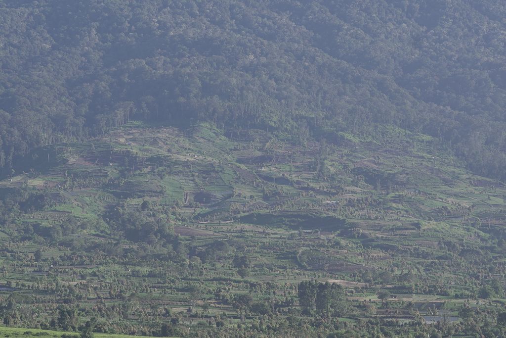 Perkebunan sayuran masuk dalam kawasan konservasi Taman Nasional Kerinci Seblat di kaki Gunung Kerinci, Kayu Aro, Kabupaten Kerinci, Jambi, Sabtu (14/5/2022)