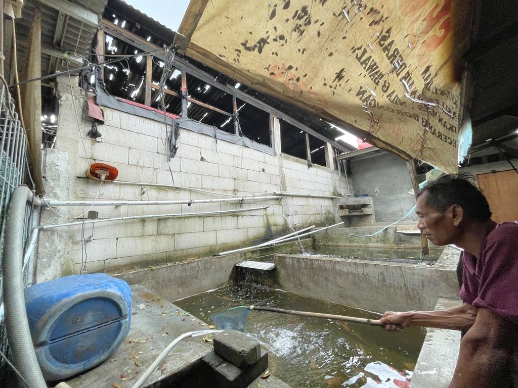 Azid (55) membersihkan kolam ikan yang turut terdampak kebakaran di Kampung Bojong Rangkong, Kelurahan Pondok Kopi, Kecamatan Duren Sawit, Jakarta Timur, pada Minggu (26/3/2023) petang. 