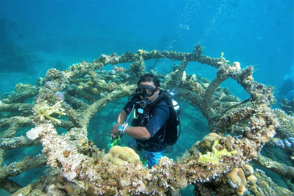 Beragam bentuk wahana digunakan untuk tempat pelestarian terumbu karang pada proyek Bio Rock di kawasan pantai Desa Pemuteran, Kecamatan Gerokgak, Buleleng, Bali, Sabtu (28/10). Tempat tersebut juga menjadi salah satu daya tarik wisata bahari.