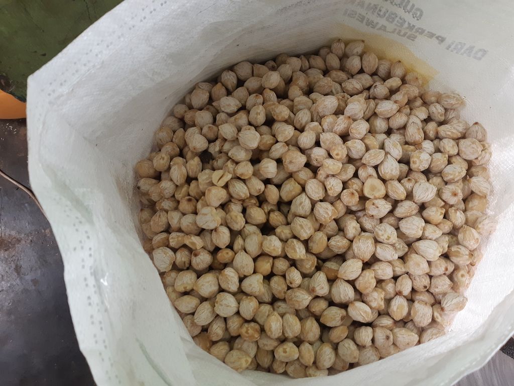 Round candlenut processed by the people of Boto village, Nagawutung District, Lembata Regency, East Nusa Tenggara on Saturday (28/1/2023). The candlenut is sold at IDR 35,000 per kilogram.