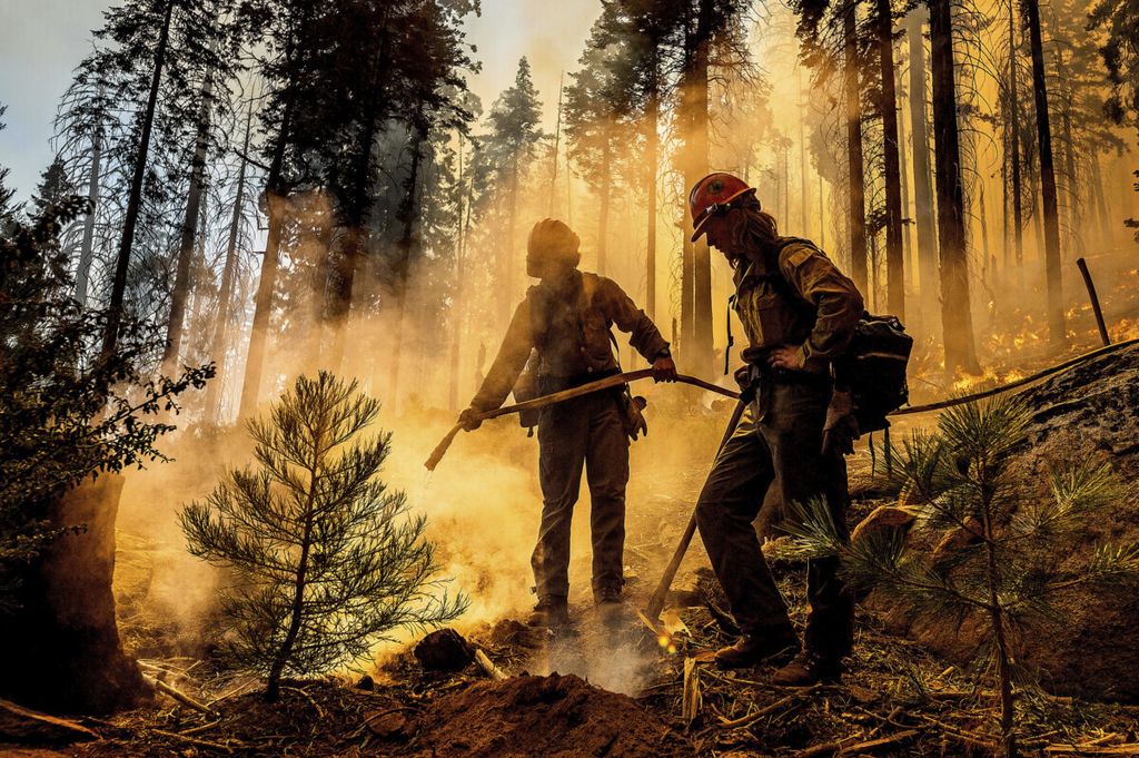 Foto pada 19 September 2021 ini menunjukkan petugas pemadam kebakaran menyemprot air saat Windy Fire melanda Hutan Taman Nasional Sequoia, California, Amerika Serikat. 