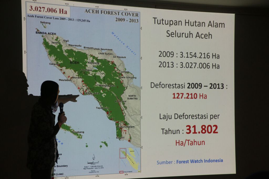 Data kerusakan hutan Aceh tahun 2013.