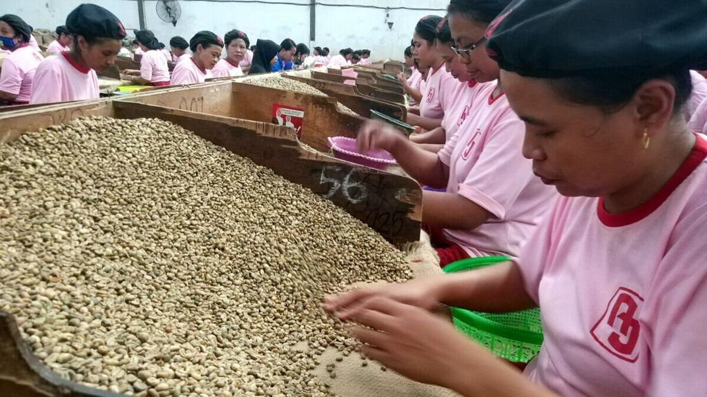 Karyawan salah satu perusahaan kopi di Kabupaten Malang tengah memilah biji kopi. Malang merupakan salah satu daerah penghasil kopi di Jawa Timur.