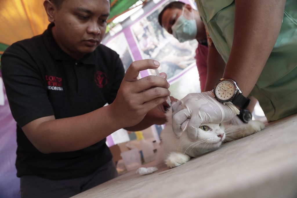 Para petugas dari Pusat Kesehatan Hewan Dinas Ketahanan Pangan, Pertanian, dan Perikanan Kota Tangerang Selatan melakukan vaksin rabies gratis kepada hewan peliharaan di Setu, Tangerang Selatan, Banten, Kamis (12/9/2019). Vaksinasi tersebut merupakan upaya untuk mengantisipasi penularan penyakit rabies.