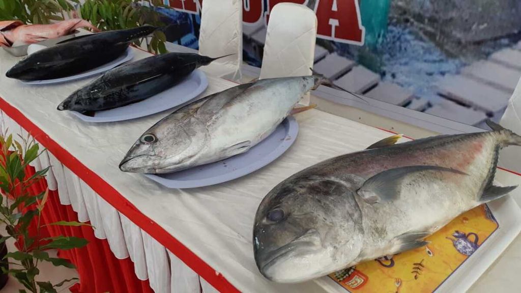Beberapa jenis ikan dipamerkan di tempat kegiatan Musyawarah Perencanaan Pembangunan Provinsi Maluku yang berlangsung di Gedung Islamic Center, Kota Ambon, Maluku, Selasa (9/4/2019). 