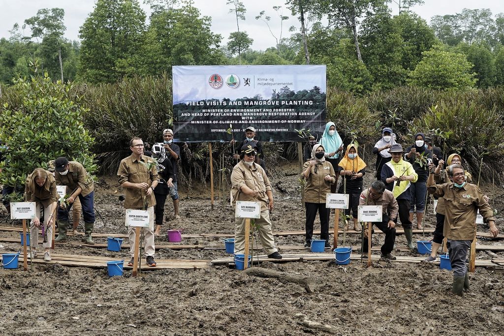 Menteri Lingkungan Hidup dan Kehutanan Siti Nurbaya Bakar (tengah) menanam mangrove bersama Menteri Iklim dan Lingkungan Norwegia Espen Barth Eide (kiri) di Teluk Balikpapan, tepatnya di Desa Sotek, Kecamatan Penajam, Penajam Paser Utara, Kalimantan Timur, Minggu (11/9/2022). 