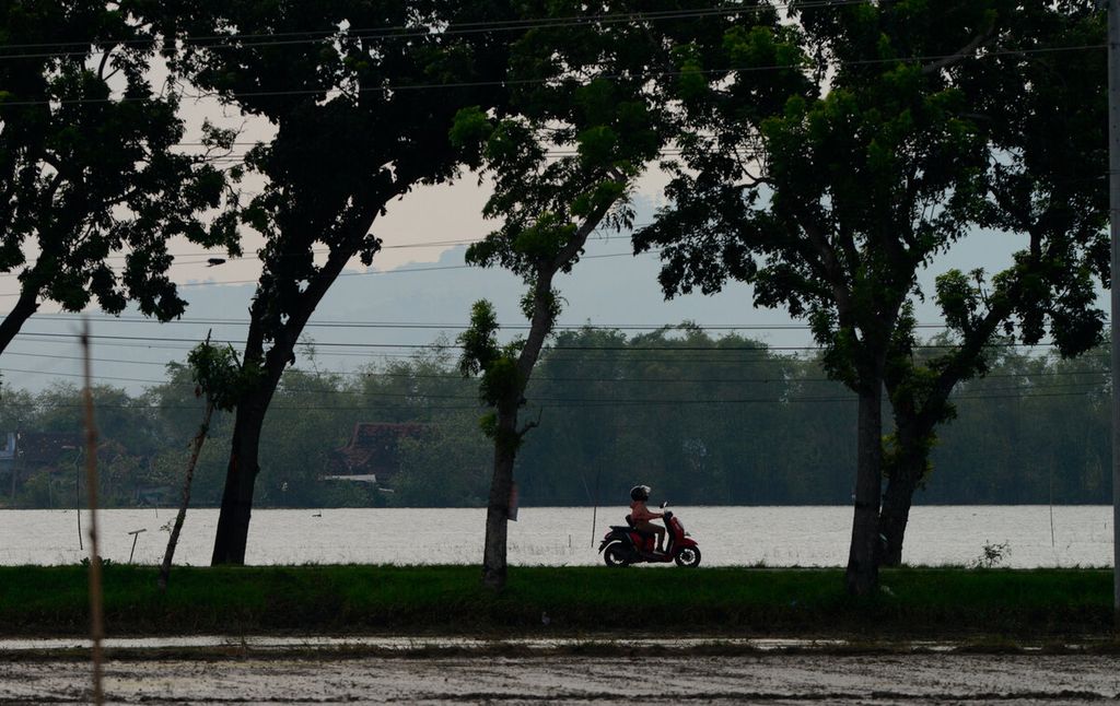 Pengendara sepeda motor melintas dengan latar belakang banjir yang menggenangi lahan pertanian selama beberapa bulan ini di Kecamatan Gabus, Kabupaten Pati, Jawa Tengah, Kamis (16/3/2023). 