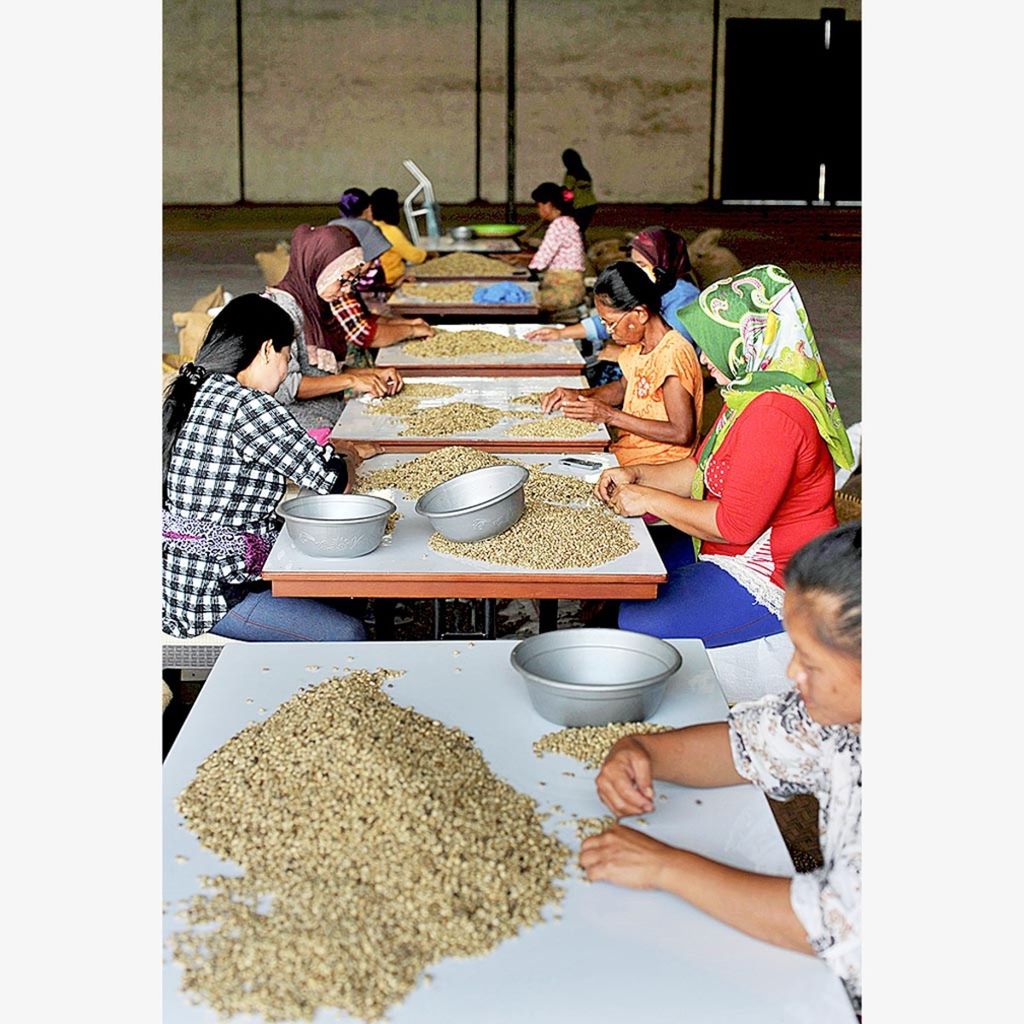 Sejumlah perempuan buruh menyortir biji kopi kering jenis robusta di gudang pengolahan kopi di kawasan Way Laga, Bandar Lampung, Lampung. Upah menyortir kopi saat ini Rp 1.000 per kilogram. Foto diambil tahun 2018.