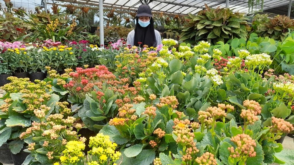 Aneka bunga dan tanaman hias dijajakan di salah satu kios di Mal Bunga Sidomulyo di Desa Sidomulyo, Kecamatan Bumiaji, Kota Batu, Jawa Timur, Senin (11/4/2022). Mal bunga yang disebut-sebut sebagai yang pertama di Indonesia ini berdiri sejak pertengahan 2021.