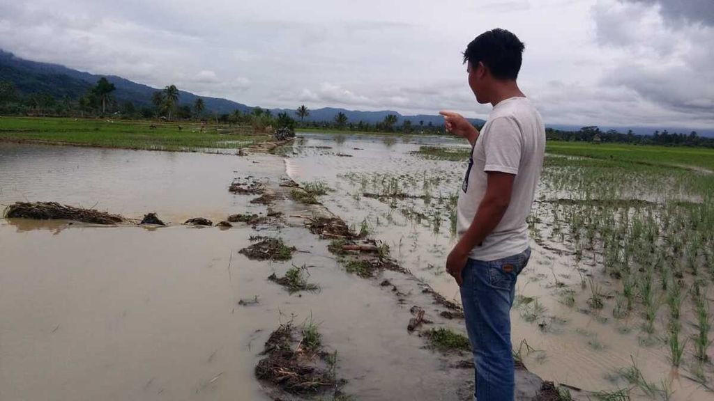 Banjir merendam areal persawahan di Kecamatan Pasemah Air Keruh, Kabupaten Empat Lawang, Sumsel, pada 25 Januari 2020.