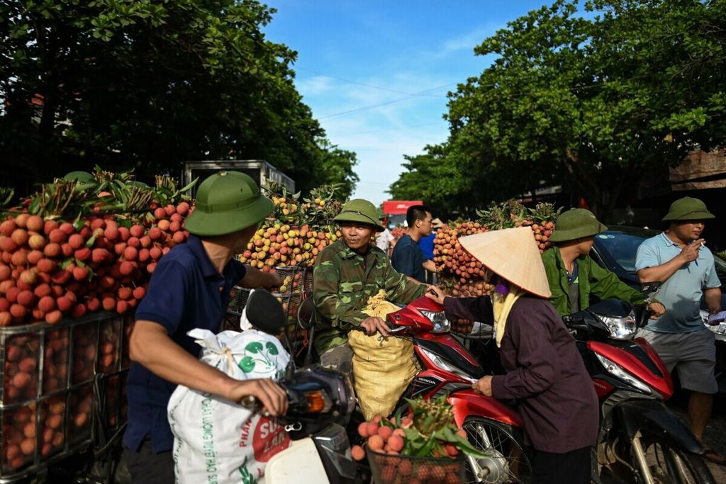 Petani Vietnam mengangkut hasil panen leci untuk dijual di pasar domestik di pasar grosir di Distrik Luc Ngan, Provinsi Bac Giang, 9 Juni 2020.  
