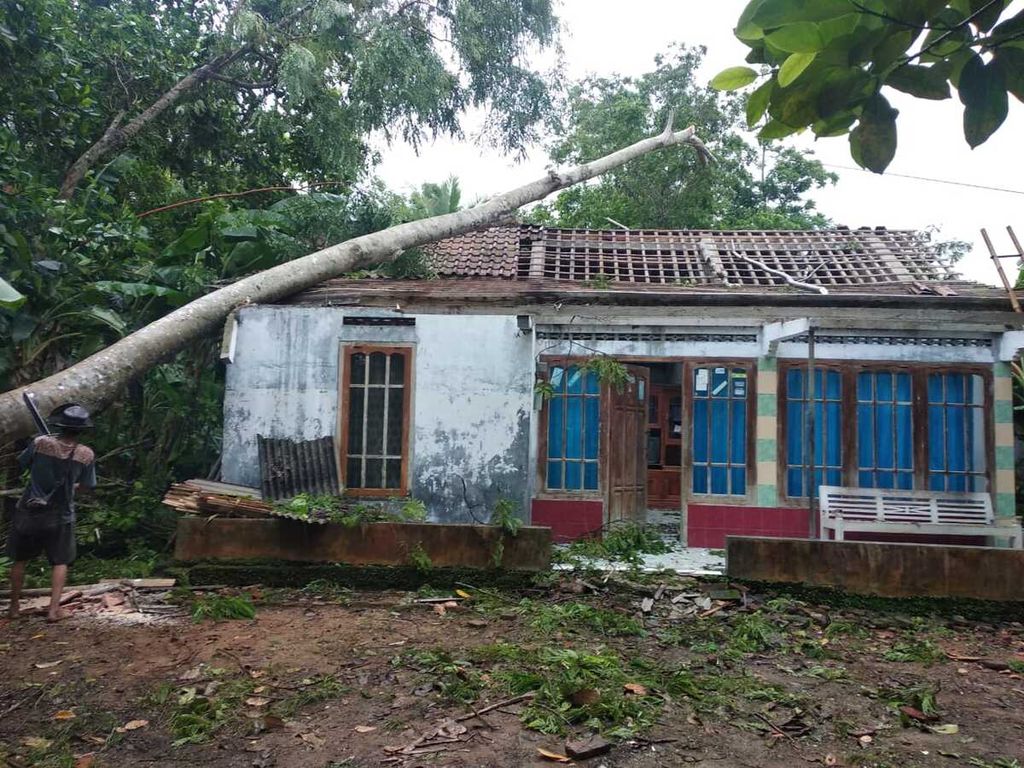 Akibat angin kencang, pohon tumbang dan menimpa rumah di Sidareja, Kabupaten Cilacap, Jawa Tengah, Kamis (12/12/2019) sore. Potensi angin kencang diprediksi masih terjadi hingga awal Januari 2020. Masyarakat diimbau waspada.