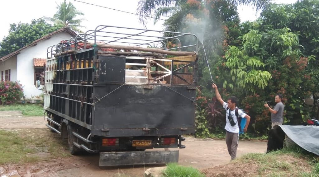 Peternak menyemprotkan disinfektan pada truk yang akan mengangkut sapi di Desa Astomulyo, Kecamatan Punggur, Lampung Tengah, Minggu (26/6/2022).