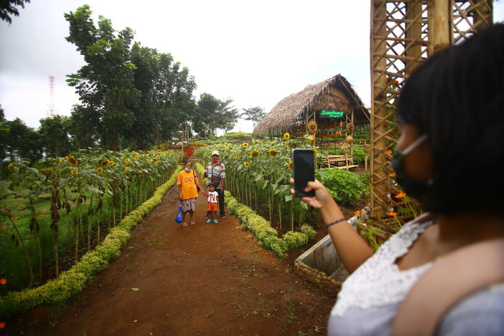 Pengunjung berfoto di Agrowisata Taman Suruh Banyuwangi, Rabu (15/8/2020). 