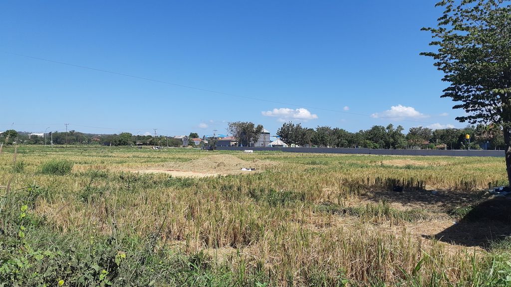 Areal pertanian di Naibonat, Kabupaten Kupang, Nusa Tenggara Timur, baru selesai dipanen seperti terpantau pada Senin (21/6/2021). Badan Meteorologi, Klimatologi, dan Geofisika mengingatkan ancaman kekeringan di hampir semua wilayah NTT.