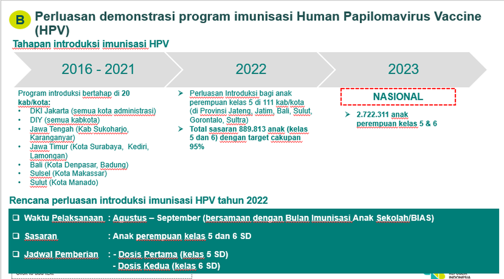 国の予防接種プログラムにおける HPV ワクチンの投与計画。