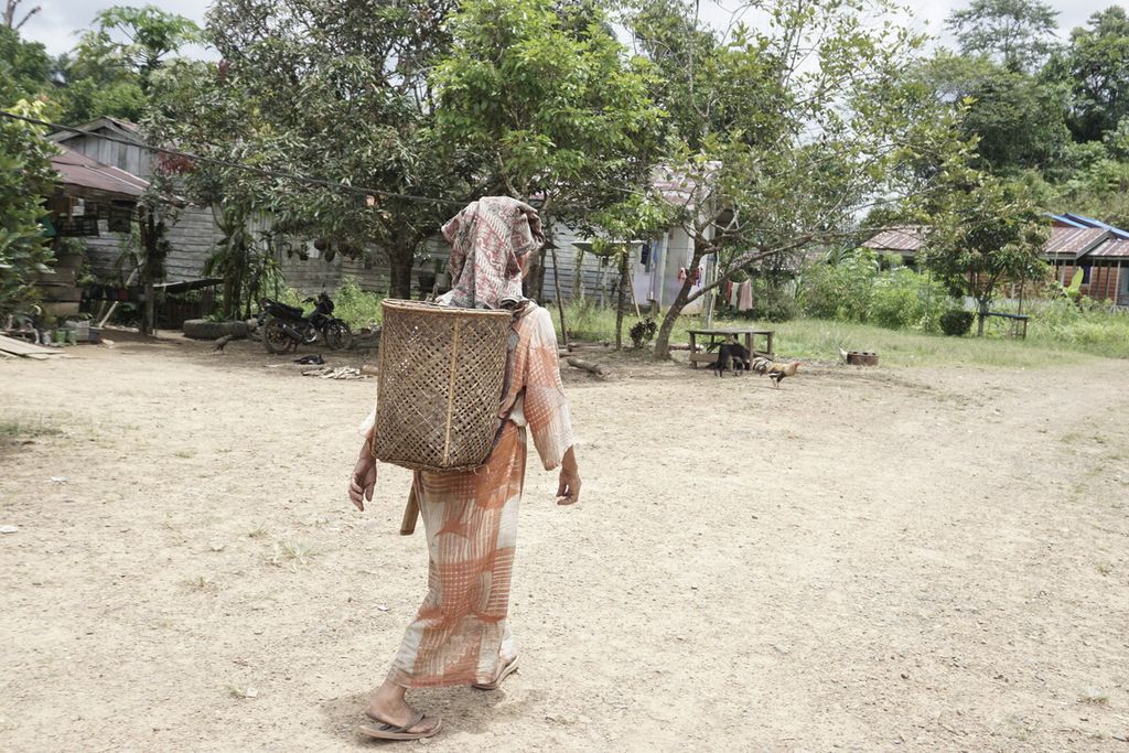 Seorang suku Dayak Paser Mului pergi ke kebun dengan membawa tas punggung dari anyaman rotan di RT 008 Desa Swan Slotung, Kecamatan Muara Komam, Kabupaten Paser, Kalimantan Timur, Sabtu (13/3/2021). Selain menanam padi, warga juga menanam pohon karet dan mengambil hasil hutan lainnya.