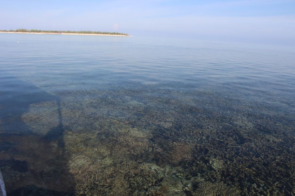 Terumbu karang terlihat dari permukaan saat menyeberang ke Pulau Noko, Bawean.